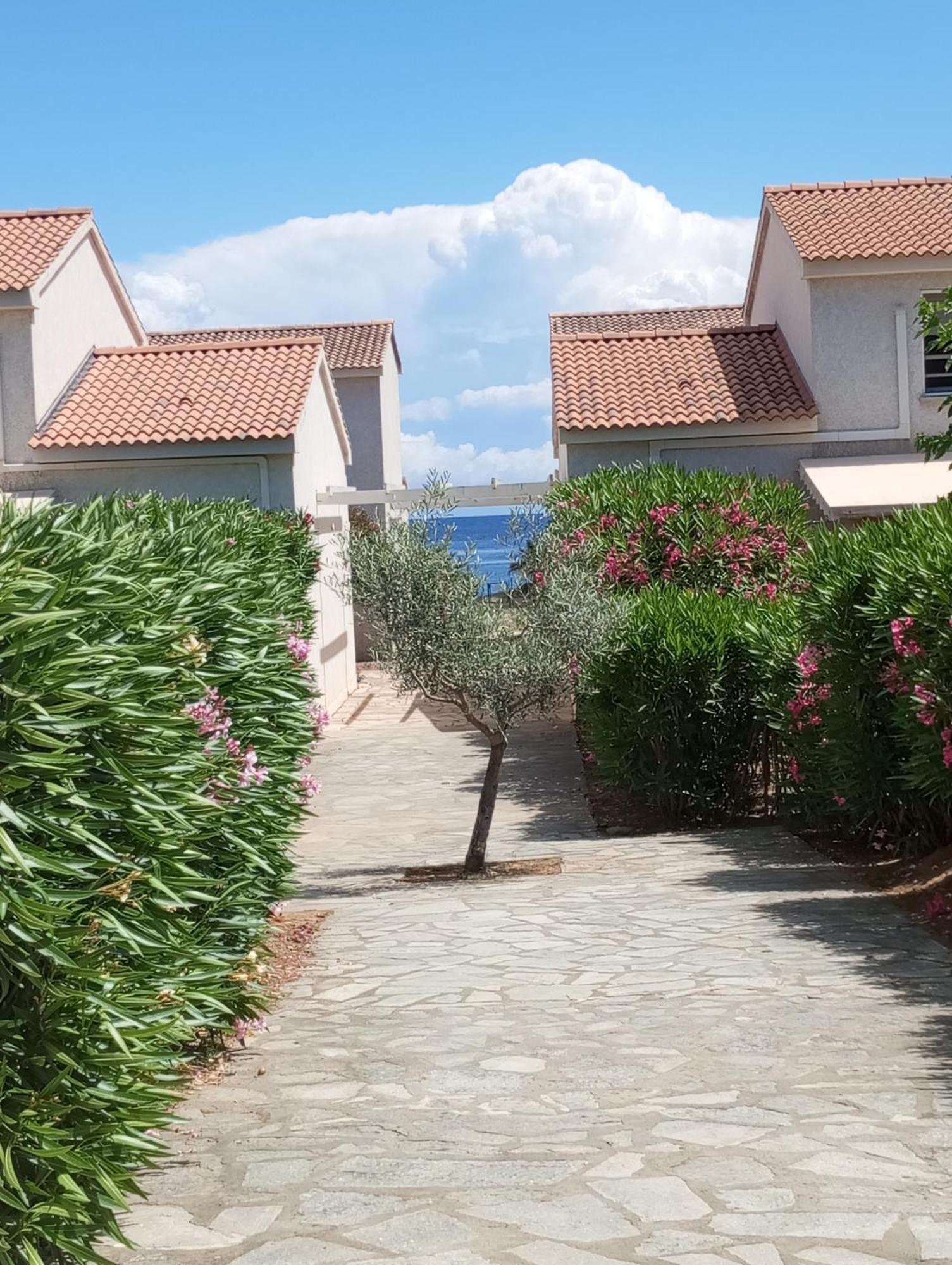 Villa Climatisee A Nuciola Prunete Entre Mer, Montagne Et Piscine Cervione Exterior photo